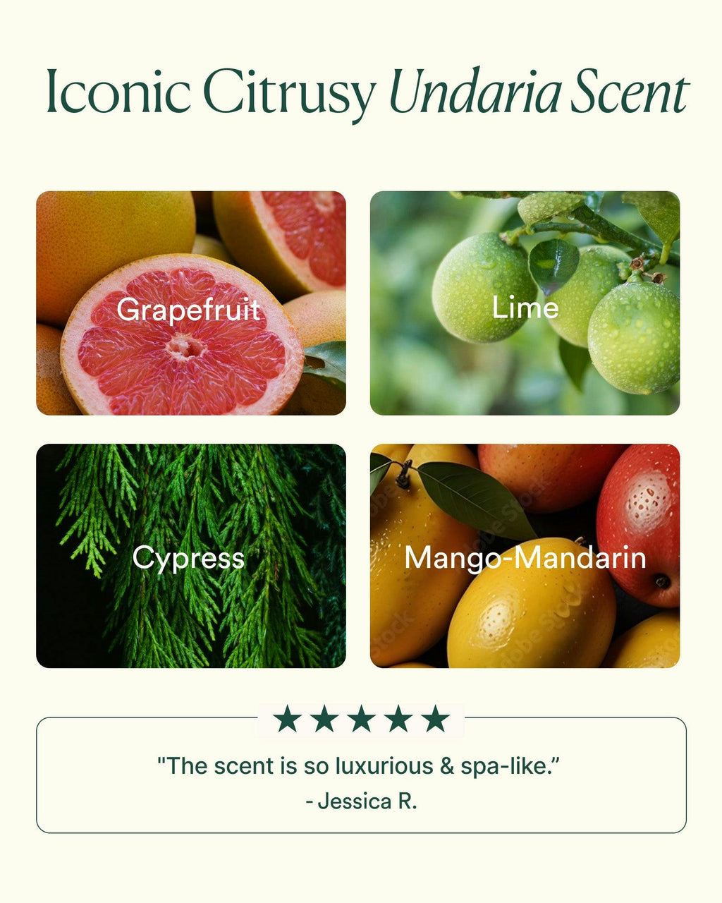 OSEA® Malibu Undaria Algae Body Oil